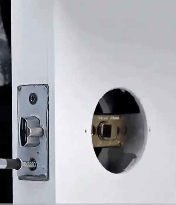 Tuya Smart Biometric Door Lock