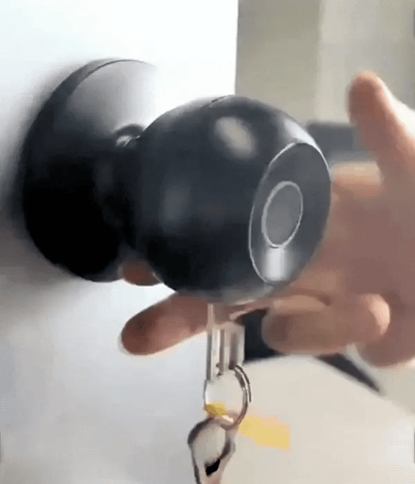 Tuya Smart Biometric Door Lock
