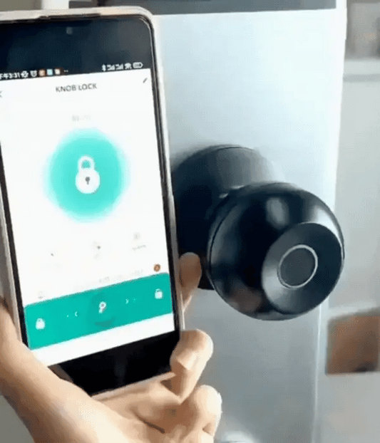 Tuya Smart Biometric Door Lock
