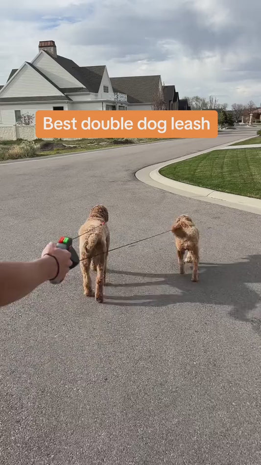 DuoWalk™ Dog Leash